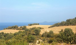 Land 4000 m² in Athos, Chalkidiki