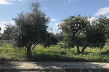 Property 30012 photo 3