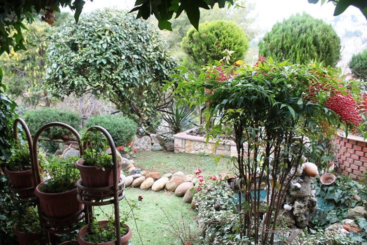 Realty photo 1