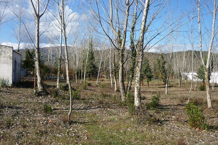 Realty photo 1