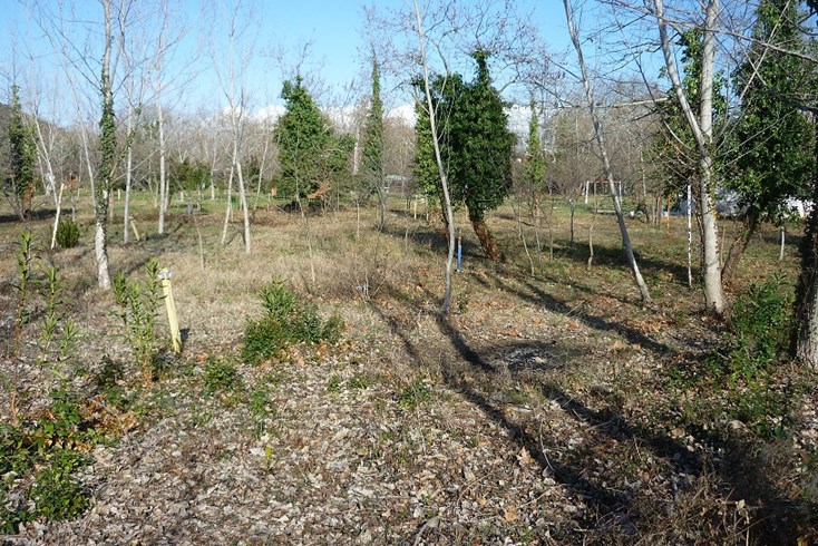 Realty photo 3