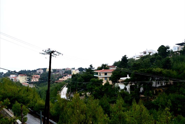 Realty photo 3