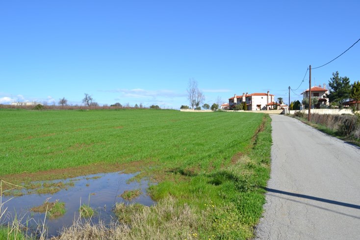 Realty photo 2