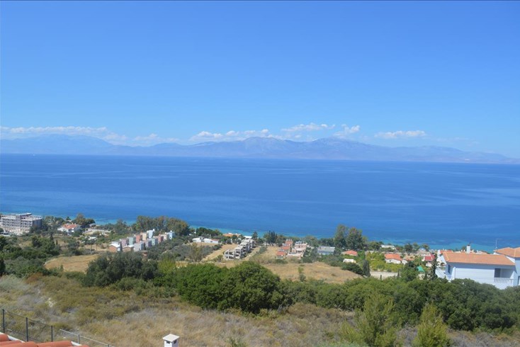 Realty photo 2