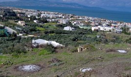 Land 2027 m² in Crete