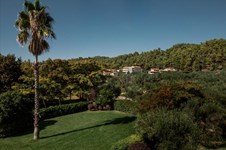 Property 3022 photo 8