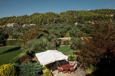 Property 3022 photo 5