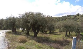 Land 3450 m² in Athos, Chalkidiki