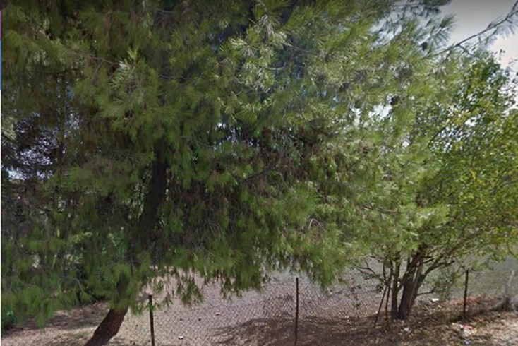Realty photo 2