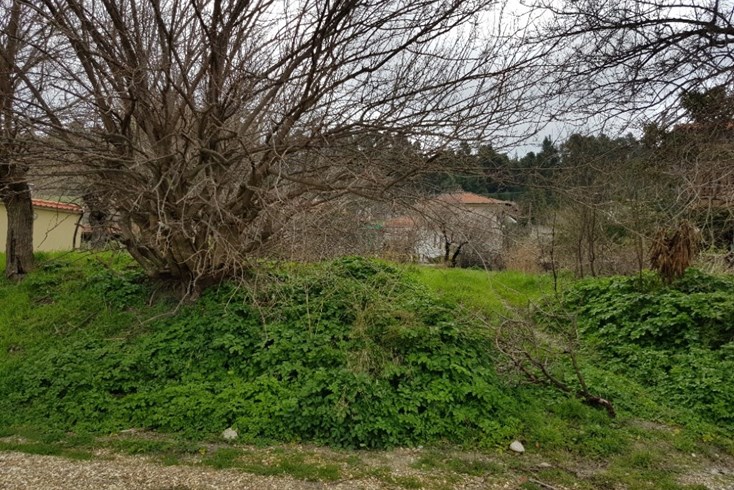 Realty photo 2