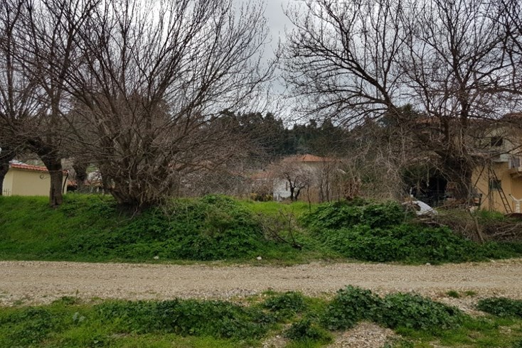 Realty photo 3