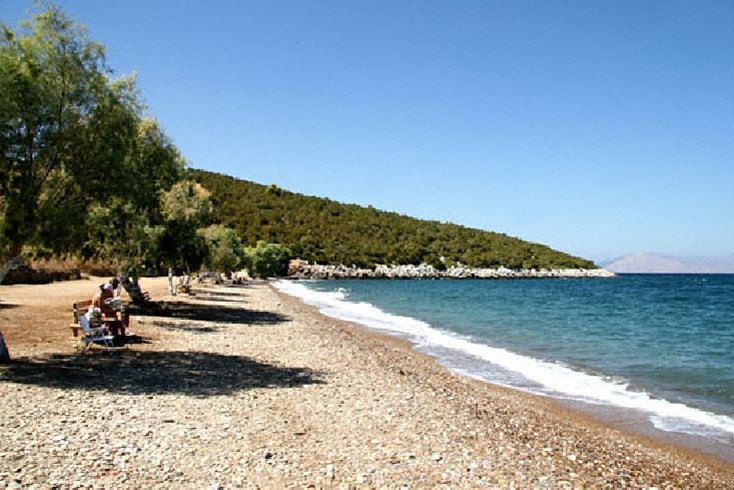 Realty photo 2