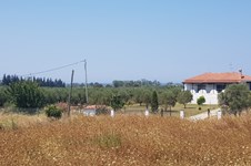 Property 3030 photo 12