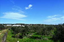 Property 30342 photo 2