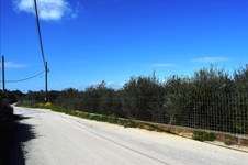 Property 30342 photo 7