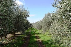 Property 30342 photo 8