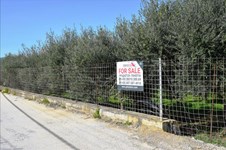Property 30342 photo 1