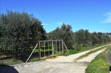 Property 30342 photo 3