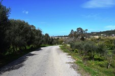 Property 30342 photo 4