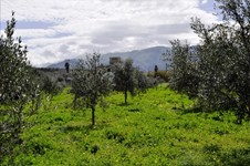 Property 30342 photo 5