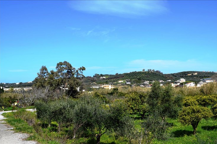 Realty photo 2