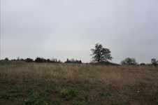 Property 30355 photo 2
