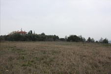 Property 30355 photo 3