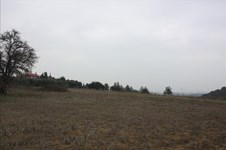 Property 30355 photo 1