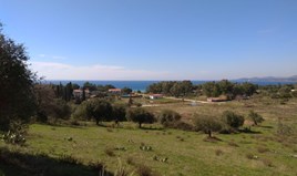 Zemljište 4000 m² na Sitoniji (Halkidiki)
