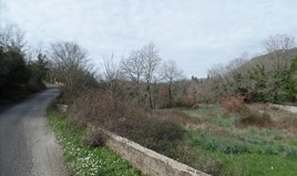 Γη 6200 μ² στην Κέρκυρα