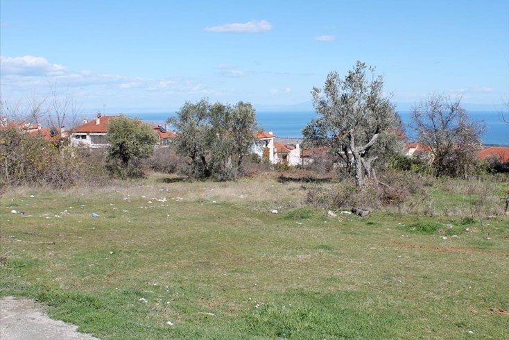 Realty photo 1