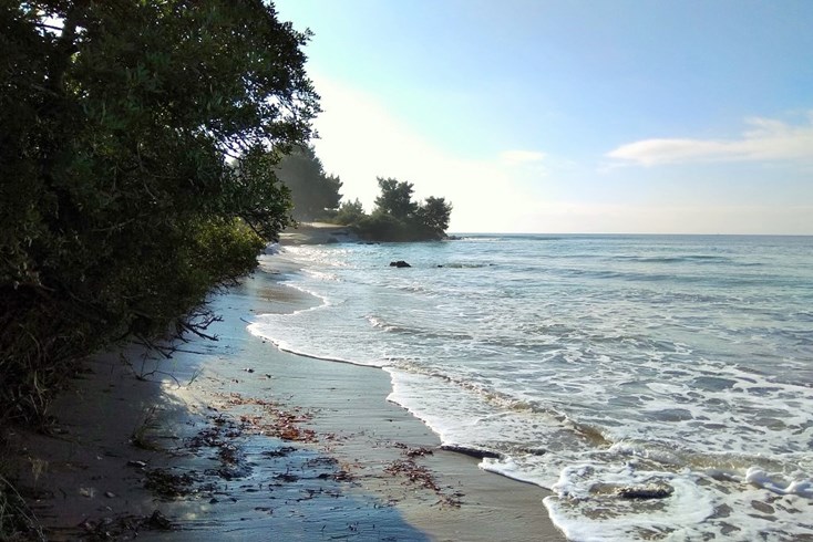 Realty photo 2