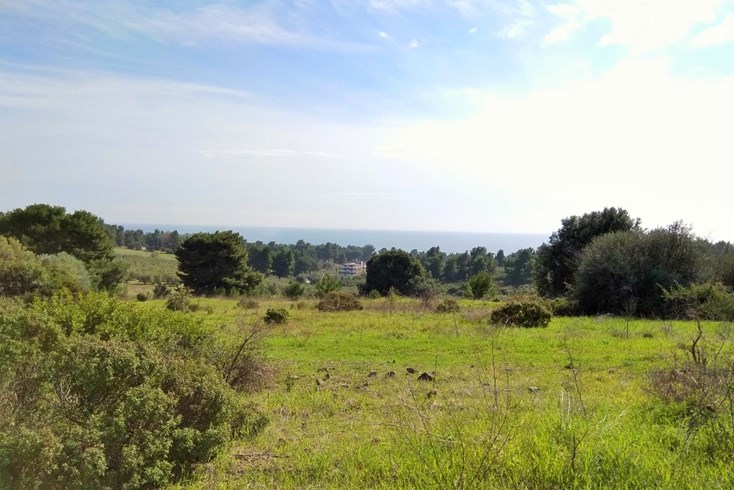 Realty photo 1