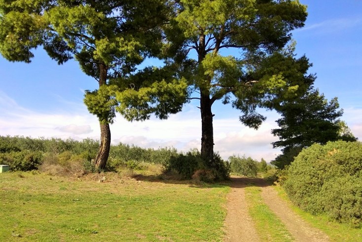 Realty photo 3