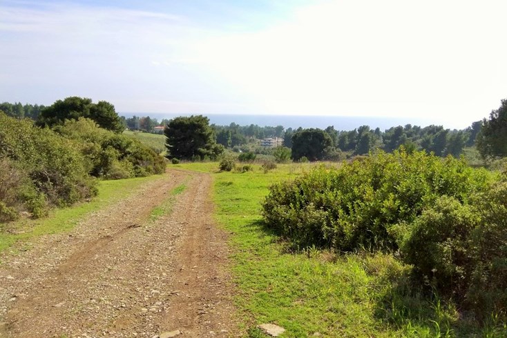 Realty photo 2