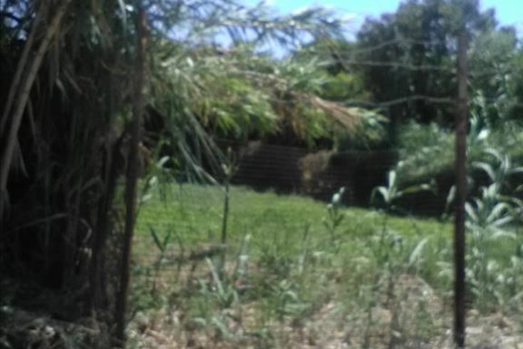 Realty photo 3