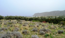 Land 4800 m² in Crete