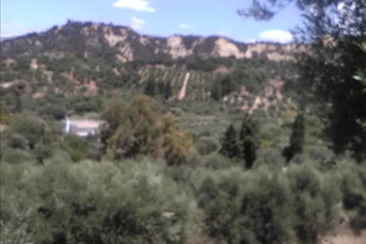 Realty photo 3