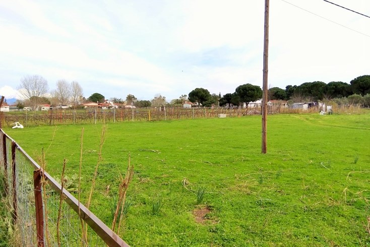 Realty photo 3