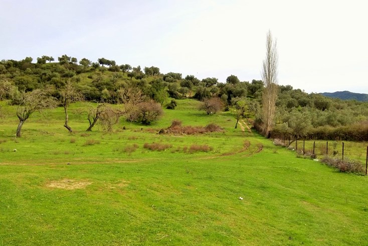 Realty photo 1