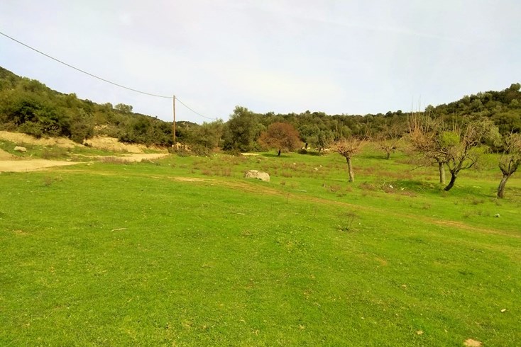 Realty photo 2