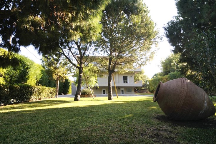 Realty photo 2