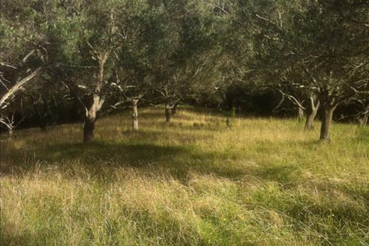 Realty photo 1