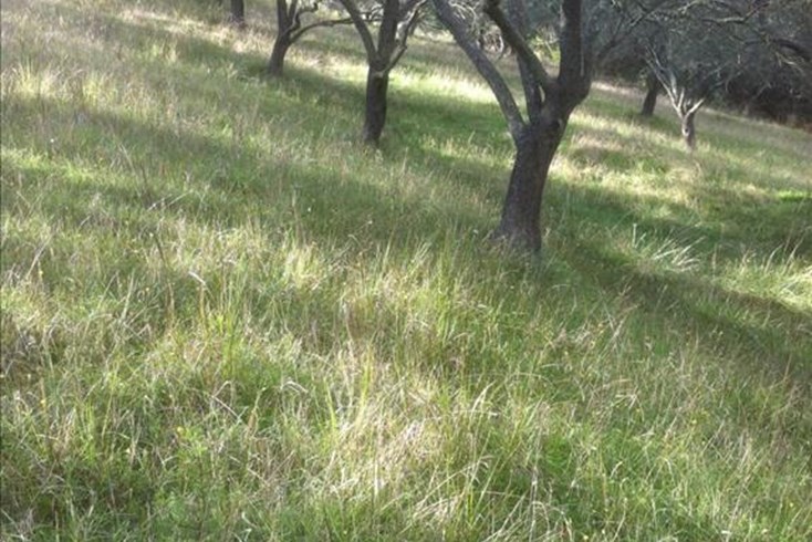 Realty photo 2