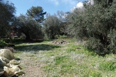Property 30596 photo 2
