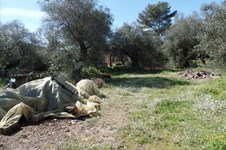 Property 30596 photo 4