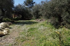 Property 30596 photo 1