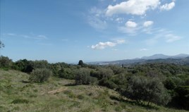 Land 6912 m² auf Korfu