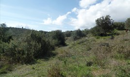 Land 4536 m² auf Korfu