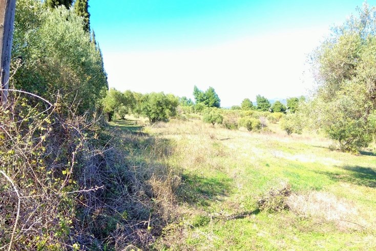 Realty photo 1